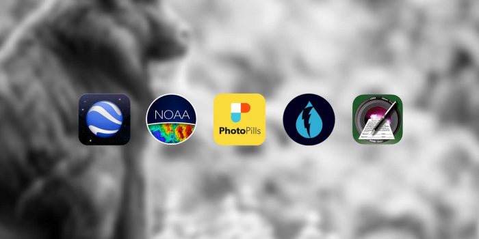 image shows mandrill staring to the right overlaid with icons of photography apps